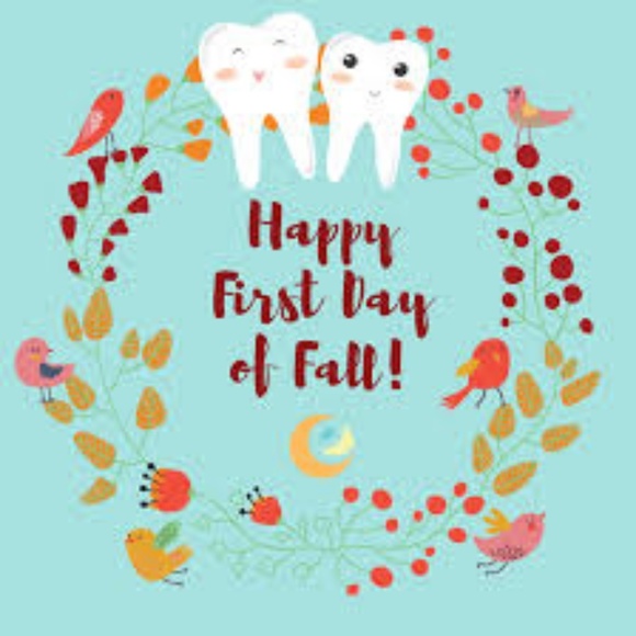 Meet your Posher, Lucy - Picture 1 of 1